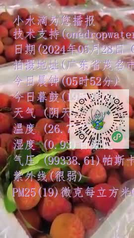 FkO5qLNrWFSvs-HT1vZK430CBztYmp4