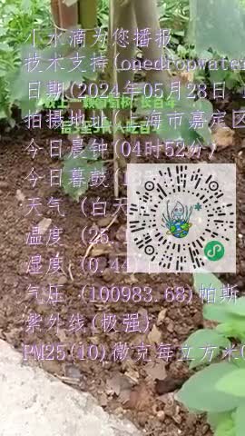 FiYAliBkPUb-wx7rI4n91pyPlELhmp4