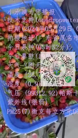 FlVGRBKKpss0Y1sOMj8gAk7wCgmKmp4