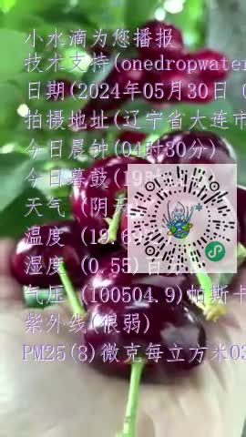 FkOwjrDt0_5606x_SmjvQthcHpKKmp4
