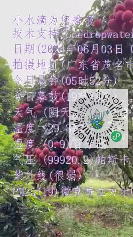 Fkj7hP0BcSpDfko-6H_y6OvV5KbMmp4