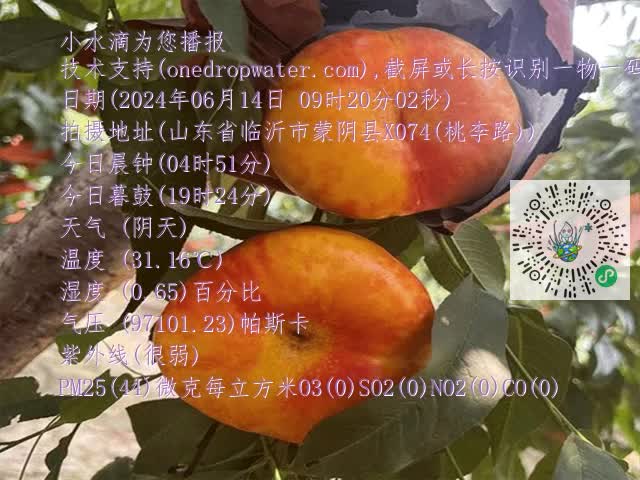 78c8ee8ac1b05725e937b387afd0fa06.mp4