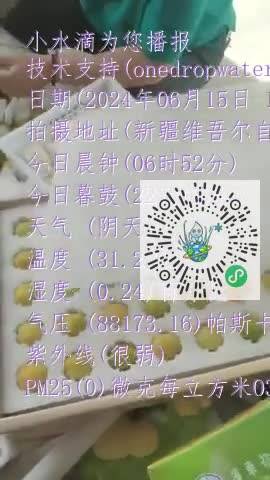 FiH749ga_ljt3-WsHT-oD5NwmToFmp4