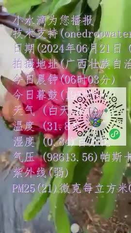 Fjcf3fGNqeR8yI3SoS7X54SfIuclmp4