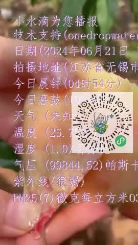 Fp30bbs8HvRO35v4nhyMy3Z0jl9Fmp4