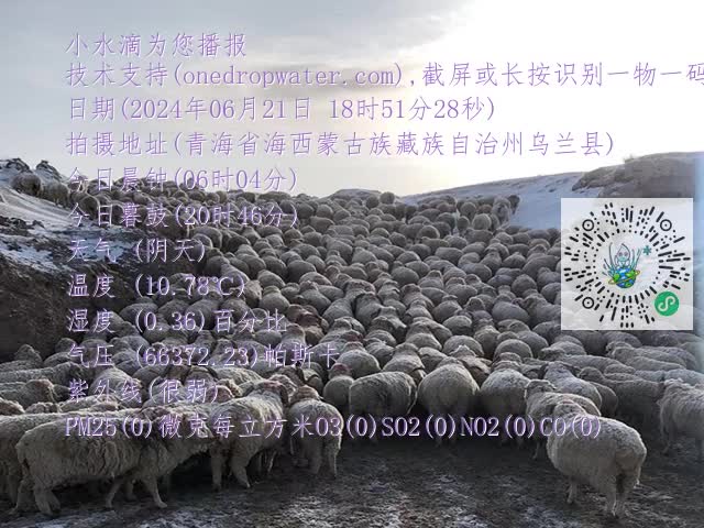 20a37bd5021d21591bac0a734073c578.mp4