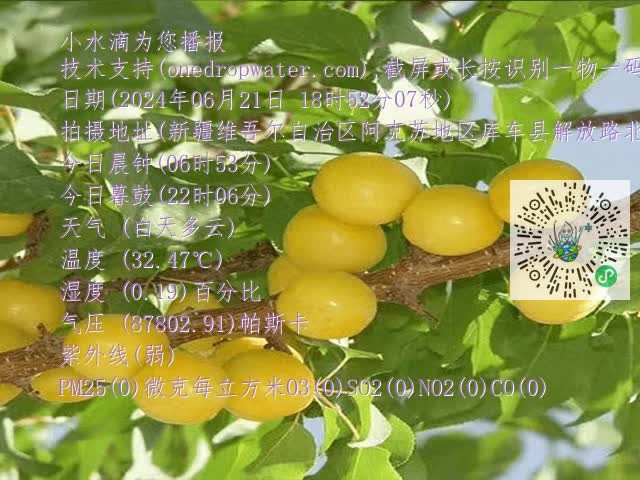 67804975fc4d755441263197e25d19dd.mp4