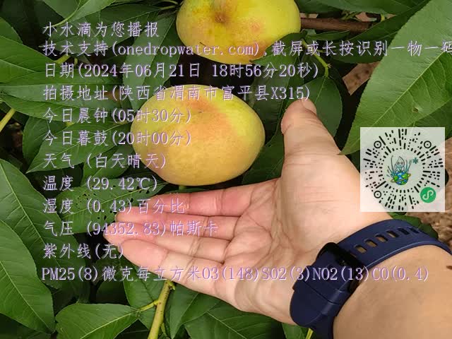 206bd4f4ec74e769b15425392d472de2.mp4