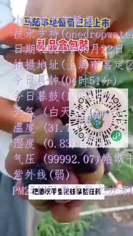Fn5MW3APFVYuWgIhr_66xnS27OG6mp4