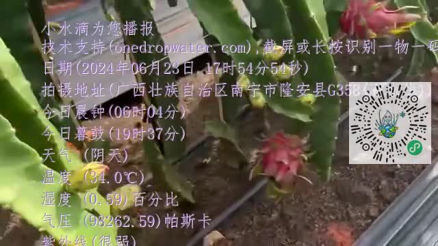 FhanQyTa73swt-zj2j7iKu8xv639mp4