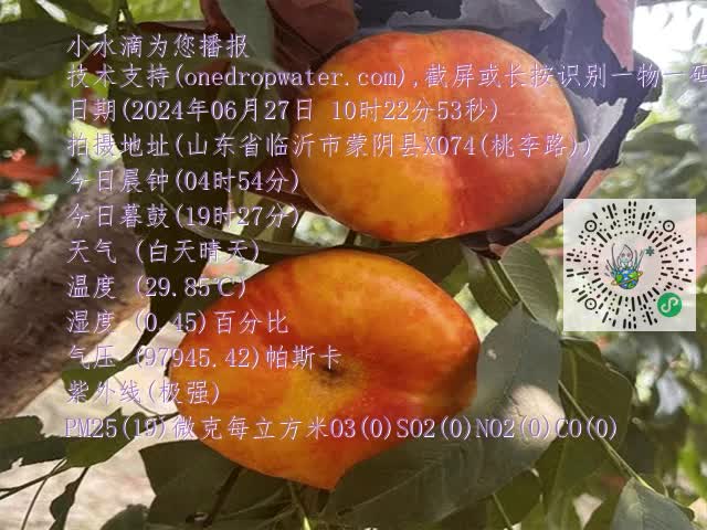 78c8ee8ac1b05725e937b387afd0fa06.mp4