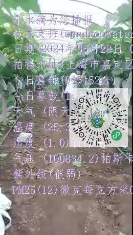llGk7MN9oRHGtZmqU9BDk49Anlilmp4