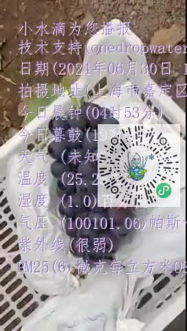 FkbCJM8pcDIu6ofOI2s1TTSX0PUsmp4
