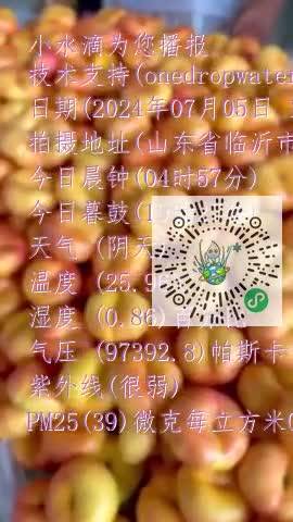 Fmz-kOwlfCCdutWjo_Pu0C84M8YDmp4