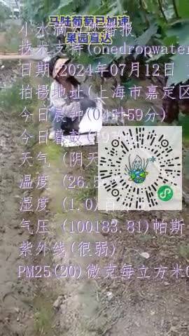 FqY17ZOxXJDALMWZXv4rR25zqc0pmp4