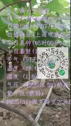 lppxKuQrAGonrkEqVCyP7kZSr83Smp4
