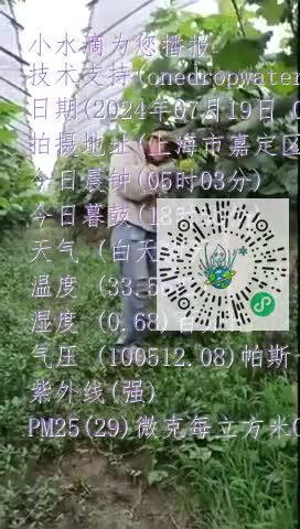 lr8r9IyIF97GvohpWswe4NUvxrx6mp4