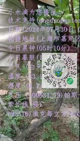 Fjtd77mCRdNB_QBOMDZBzxVWa2_gmp4