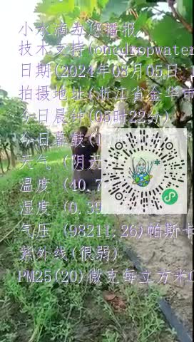 FnVI35hthb7_z86A85p2UXUULcIomp4