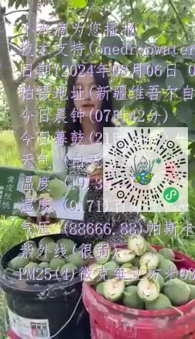 Fv100Ubv3RW-2WXHhxKj7O_h9oCwmp4