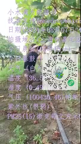 FhkGZloTRmbYNyqPMkDQa7IJQaNxmp4