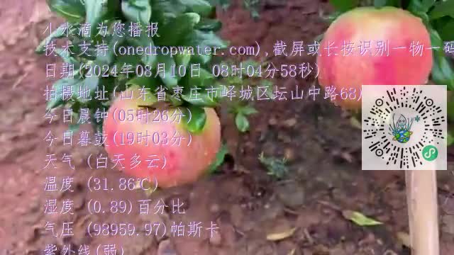 FjRImK_pIBXhVbQjdDjNnsiPiZ97mp4