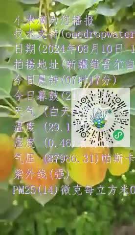 FjTdV0DNU7ory-cwYL_z4DFlw4iYmp4