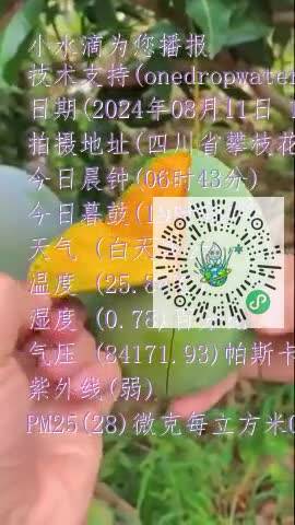 FvqMKSS9Q6umeRr24tvz6jvcSPlOmp4