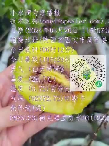 FmJ6oGq9uMn2xzy38UBMwHo6x-1Bmp4