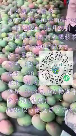 Fkug1xgxaZkgEil6gPaTwYeMOxZbmp4