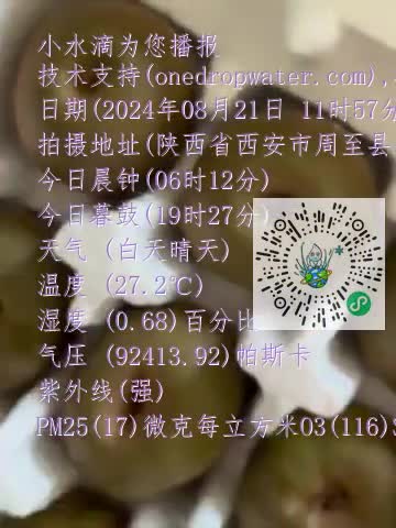 FpprZTgq2h3jVllkmcwgsnIB0ITYmp4