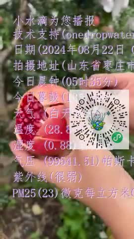 FoPsdqXEeJLtIIHCO8BqUXY1HZDEmp4