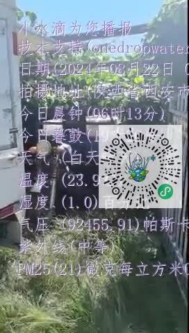 FtiyyNGkDkaJSHt5MBCw9XSe9arZmp4