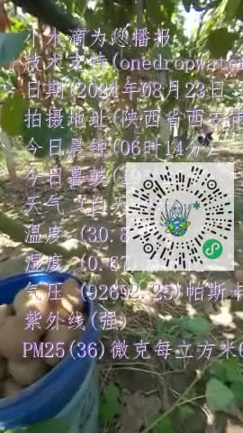 FlTkAzGkw9l9CLUMkSneS9dOhUq5mp4