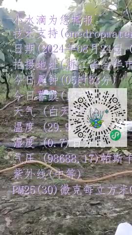 FvYJcIEo5VCzTLFacV6U9yL36-hMmp4