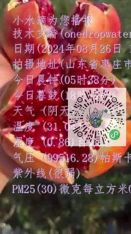 Fkxn9eWSShrt-ngGeRWH_uPPdi10mp4