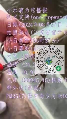 FkVxkSgtS5iURl-_1sAetyNoDaqOmp4