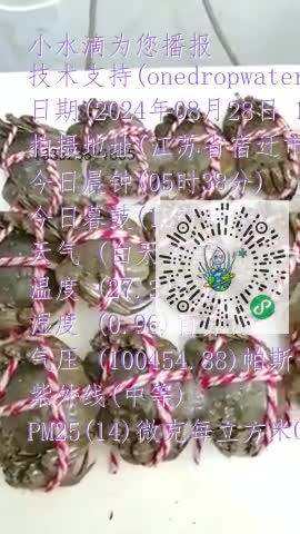 Fi3985VPRhw35bSE4a0W2pAbPjwWmp4
