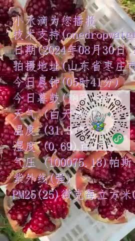 FilQmXtPEbp1-9-43DAb3azdgB_Lmp4