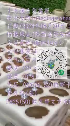 FgPTPfMuL36xp1QdAE_2n4rF_fz0mp4