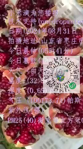 Flk26RJMEXojNB-vA8aTPKwZo1VVmp4