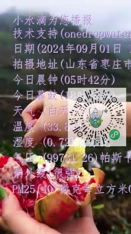 FlBhX97JkcLKzBRk8Hhbj9BmdVsBmp4