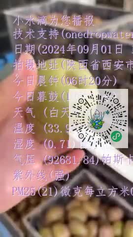 FtuW92zZanleDJRMjZy8ND4etUocmp4