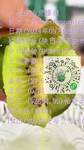 FogacDCw066rWsymppljOGp4y8Q6mp4