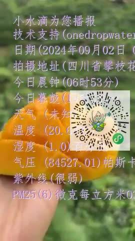 FlVKdUoWPFu5mHLtbI2qhOp8n_Aymp4
