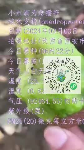 FloPKOmKaHQ1vHqIZidV3P8RjY7Wmp4