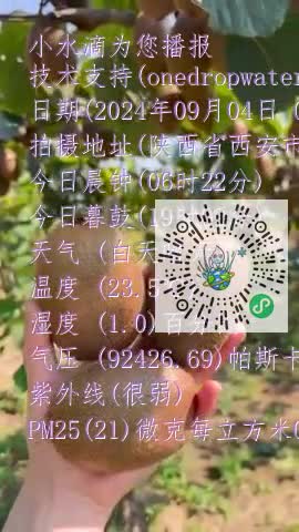 FpATYPoQuMvPBFUi-MKcSC8dYz4rmp4