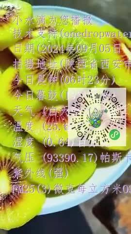 FvRQBnFDPrKhTOTWSGZMFZQKrj4Ump4