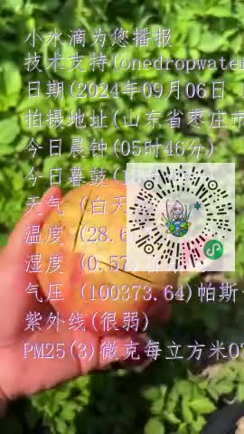 FmpfWeR-JMc1QTdk8-BvCnM21pNQmp4