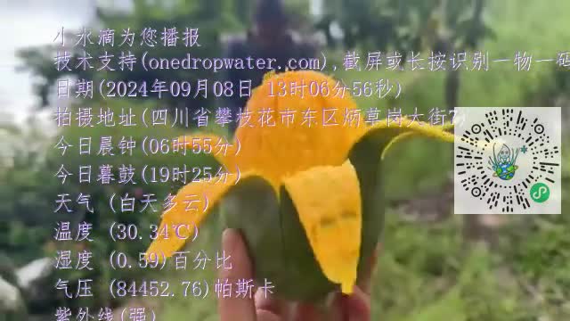 FrvM2rlED_OEAG-TueG2wMzZsVYQmp4
